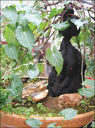 植物提取物市场聚焦 如何高效寻找优质何首乌提取物供应商？
