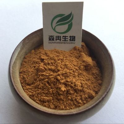 探秘番泻叶提取物与泡竹叶浓缩粉 植物提取原料粉的多元应用与规格解析